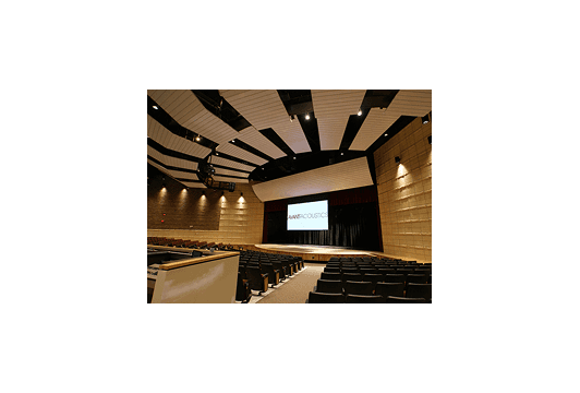 Auditorium and Theater Acoustics